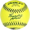 Dudley 12" USSSA WT 12 Thunder Heat Fastpitch Softballs (Dozen): 4U147Y -Baseball Equipment Store 4U147Y