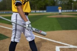 Marucci CAT 7 Silver (-5) USSSA Baseball Bat: MSBC725S -Baseball Equipment Store CAT7Silver 6